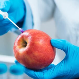 I diversi profili della sicurezza alimentare tra nuovi obblighi, controlli, rischi e responsabilità degli operatori e delle imprese