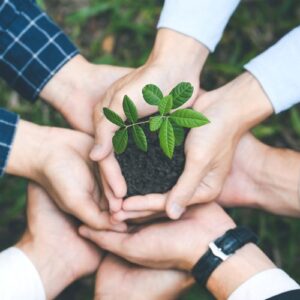 Le verifiche nei confronti delle società cooperative: tipologia, modalità e esiti alla luce dei più recenti sviluppi normativi e della prassi applicativa