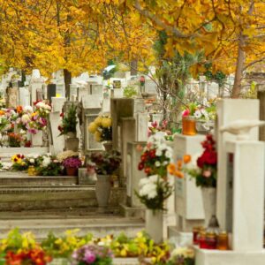 La gestione dei servizi cimiteriali dopo le modifiche introdotte dalla legge n. 182 del 2 dicembre 2025 e dalla Legge di Bilancio 2026
